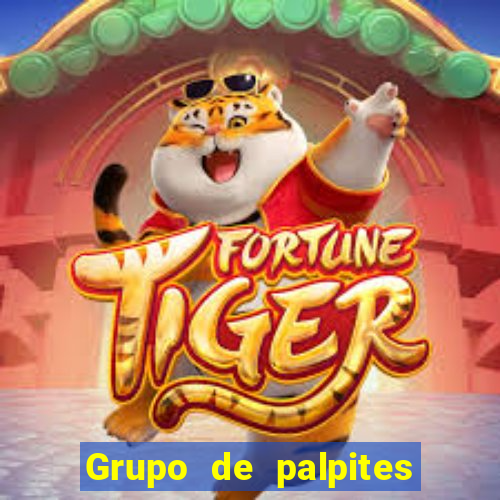 Grupo de palpites de futebol gratis